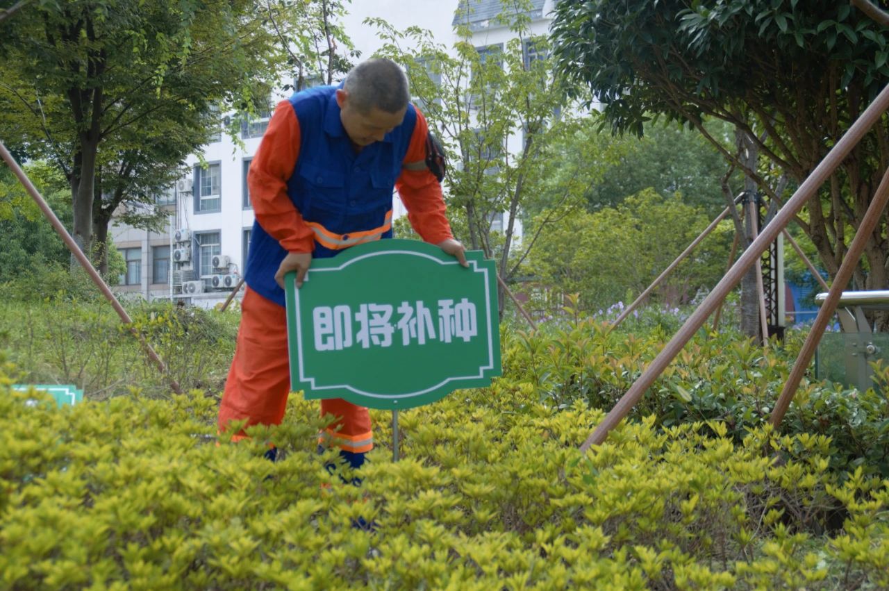 在古城，“物业城市”密码这样解