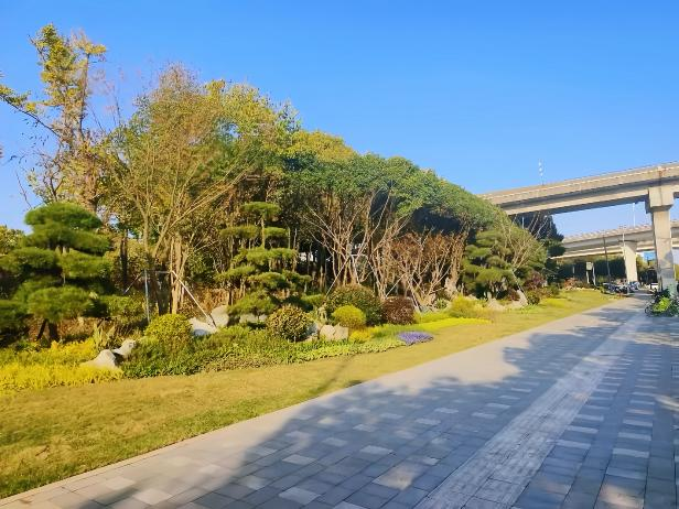 东环绿化新图景，织密城市“幸福网”！