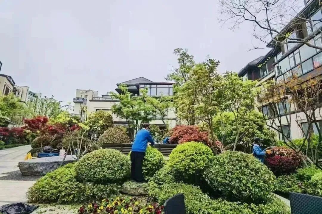 做靠谱青年，国企青年在古城更有为！